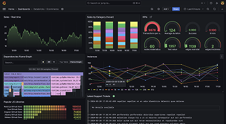 Databricks enterprise plugin dashboard example.